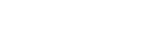 StrategyQuant X logo